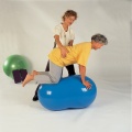 pilka-fasolka-gymnic-physioroll (1).jpg
