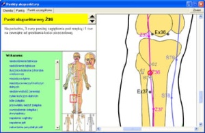 Program "KOLMIO Punkty", wersja na CD