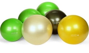 LEDRAPLASTIC PIŁKA GYMNIC PLUS